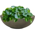 thumbnail image 1 of ZYPPPA Percival 20.75" Shallow Outdoor Planter Bowl for Flowers and Succulents - Polyresin Double-Walled Design - Sable, 1 of 17