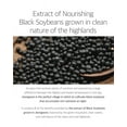 thumbnail image 4 of ROUND LAB Soybean Nourishing Cream, 4 of 7