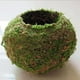 thumbnail image 4 of 2pcs Maceta de Bonsai Titular de Flor Herramientas de Jardinería Patio Duradero 6cm + 9cm, 4 of 9