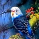 thumbnail image 4 of Pintura de diamante 5D perfecl imagen de artesanías Pájaro azul, 4 of 7