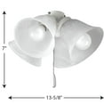 thumbnail image 6 of AirPro Collection Four-Light Ceiling Fan Light, 6 of 6