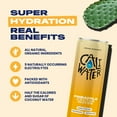 thumbnail image 2 of Caliwater Organic Cactus Water, Pineapple, Single Can, Coconut Water Alternative, 12 fl oz, Crisp, 2 of 8