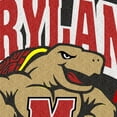 thumbnail image 2 of cloth hook and eye  3.5 x 3 in. NCAA Maryland Terrapins University of Maryland Embroidered Patch, 2 of 3