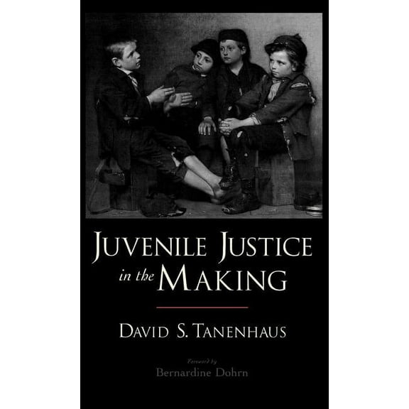 Studies in Crime and Public Policy Juvenile Justice in the Making, (Hardcover)