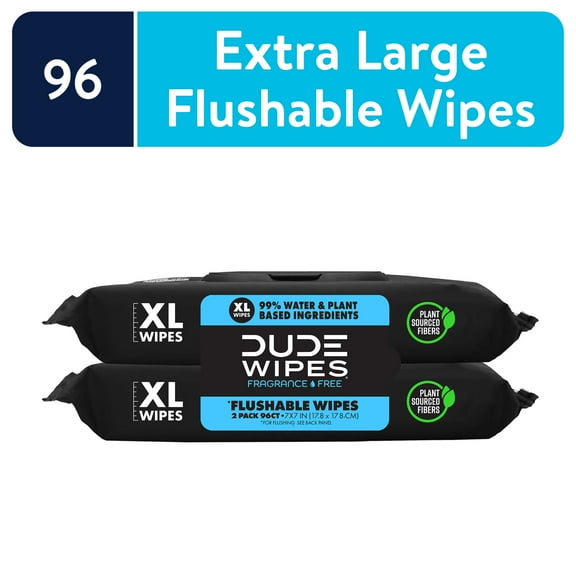 DUDE Wipes Flushable Wipes, XL Wet Wipes for At Home Use, Unscented, 48 Count, 2 Pack