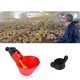 thumbnail image 5 of 96 Piezas Alimentador Automático de de Corral de Corral Bebedero de Tazas para Beber Agua, 5 of 8