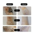 thumbnail image 3 of Y-Loong Electric Quick Chicken Plucker Hair Extractor Handheld Chicken Duck Short Hair Plucker Tools, 3 of 5