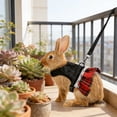thumbnail image 4 of RKSTN Polyester traction rope harness Rabbits Leash And Strap Set Pet Traction Rope And Vests Strap Suitable For Rabbits pet supplies, 4 of 5