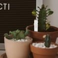 thumbnail image 1 of NUOLUX 1Jgo Marcadores Plásticos Para Plantas En Oficina Y Jardín Con Moderno Y Resistente, 1 of 6