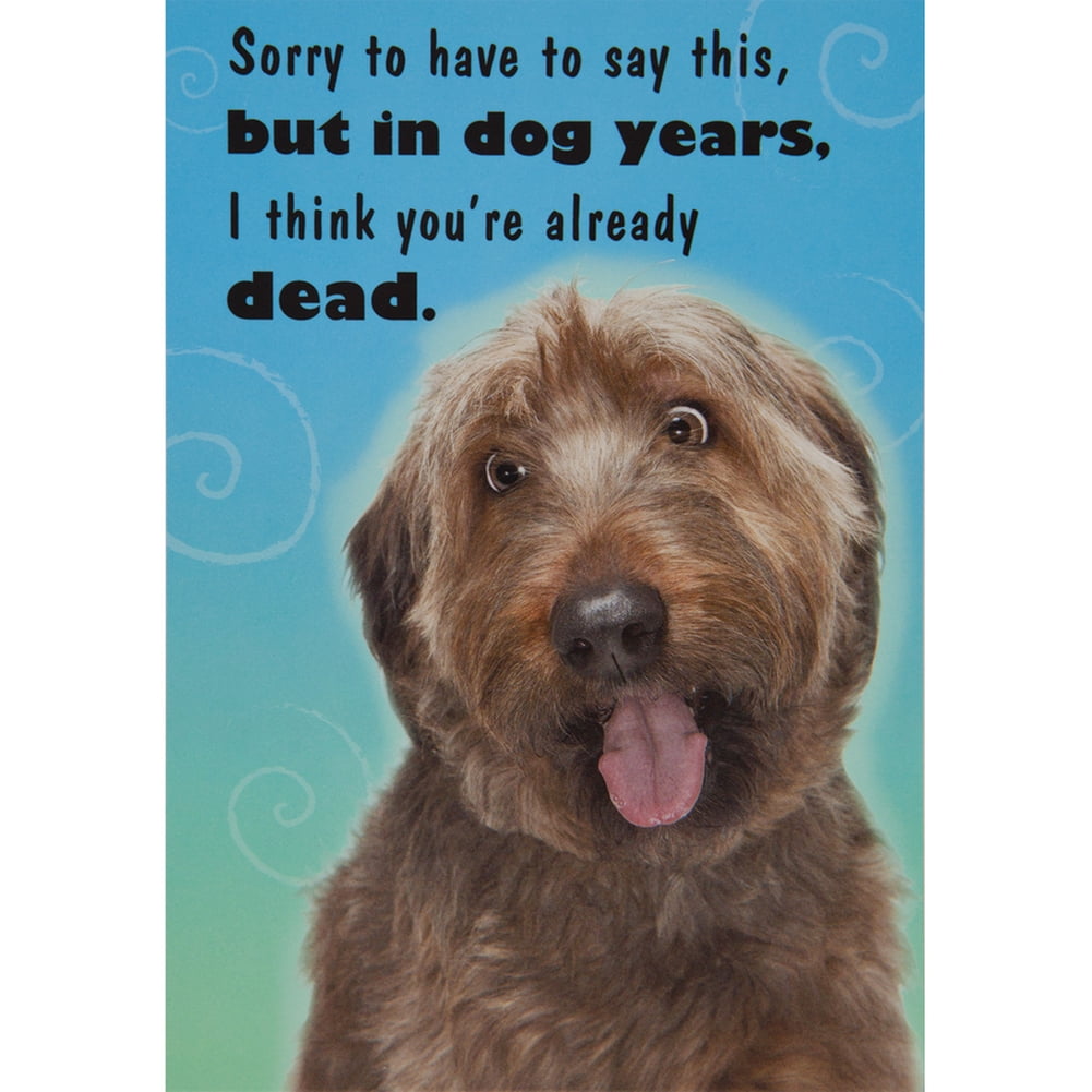 Dog Years Birthday Greeting Card - Walmart.com