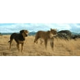 thumbnail image 3 of A Dog's Way Home (Blu-ray + DVD +Digital Sony Pictures), 3 of 5