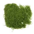 thumbnail image 1 of Shisuyan Moss Decoration for Offices 1 Set, 1 of 8