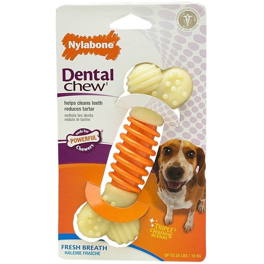 Nylabone Pro Action Bacon Flavored Dog Dental Chew Toys, Medium
