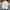 White, variant on WXLWZYWL Womens Puffer Jacket Hooded Plus Size Lightweight Jackets Warm Casual Fashion Long Sleeve Jackets