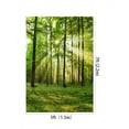 thumbnail image 3 of GreenDecor 5X7ft New Natural Forest Backdrop Photo Background Photography Backdrop Studio Photo Photography Backdrops, 3 of 5
