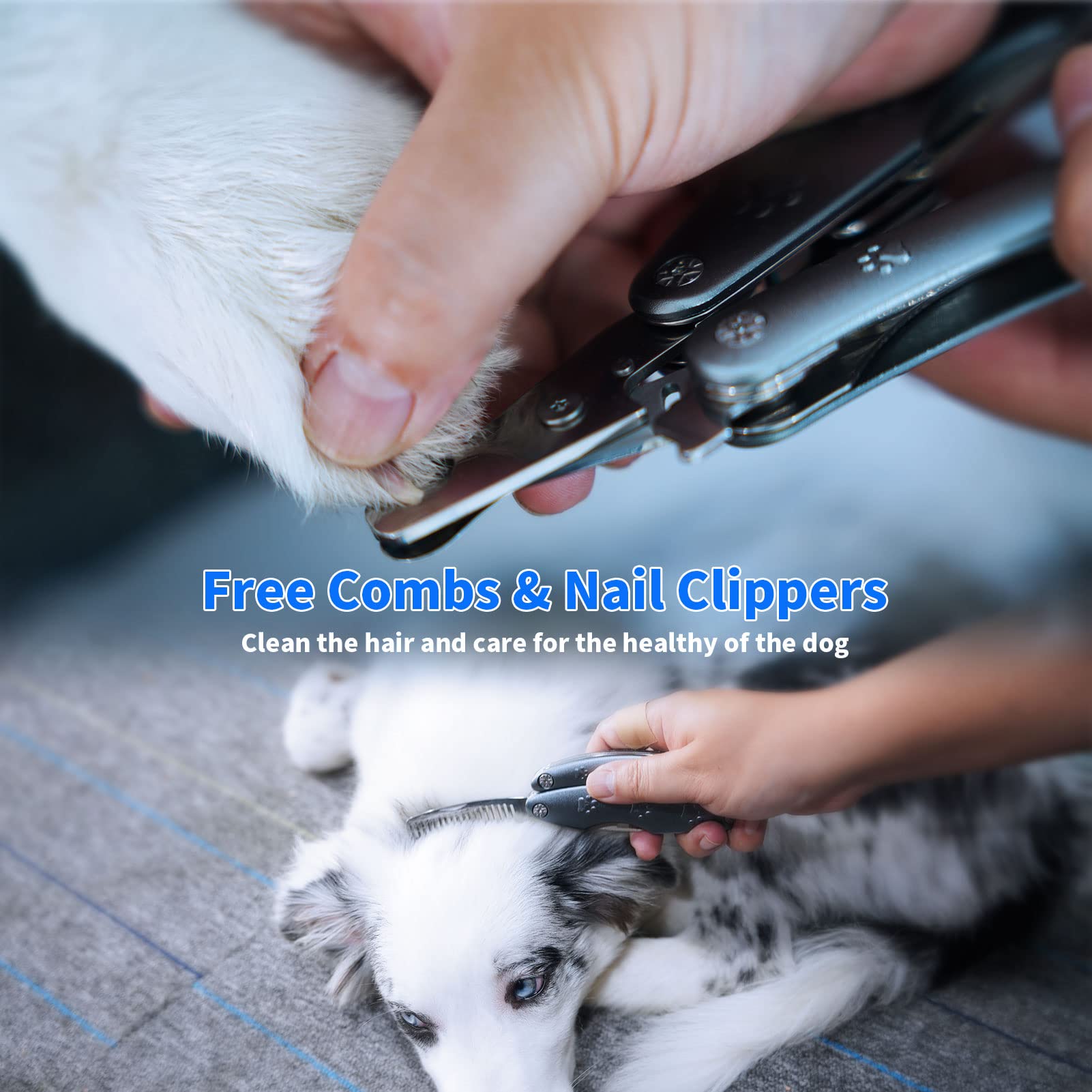 Pet Deluxe Dog Nail Clippers with Nail File photo 2
