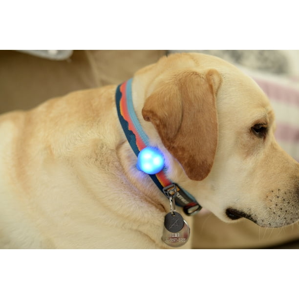 Luz LED de collar de seguridad nocturna para collar luminoso de silicona para perros de una pieza (Belu) - 6 4 cm