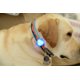 thumbnail image 1 of Luz LED de collar de seguridad nocturna para collar luminoso de silicona para perros de una pieza (Belu) - 6 4 cm, 1 of 5