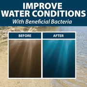 Airmax Natures Blue Pond Dye Plus w/ PondClear Beneficial Bacteria, 4x1 Gallon