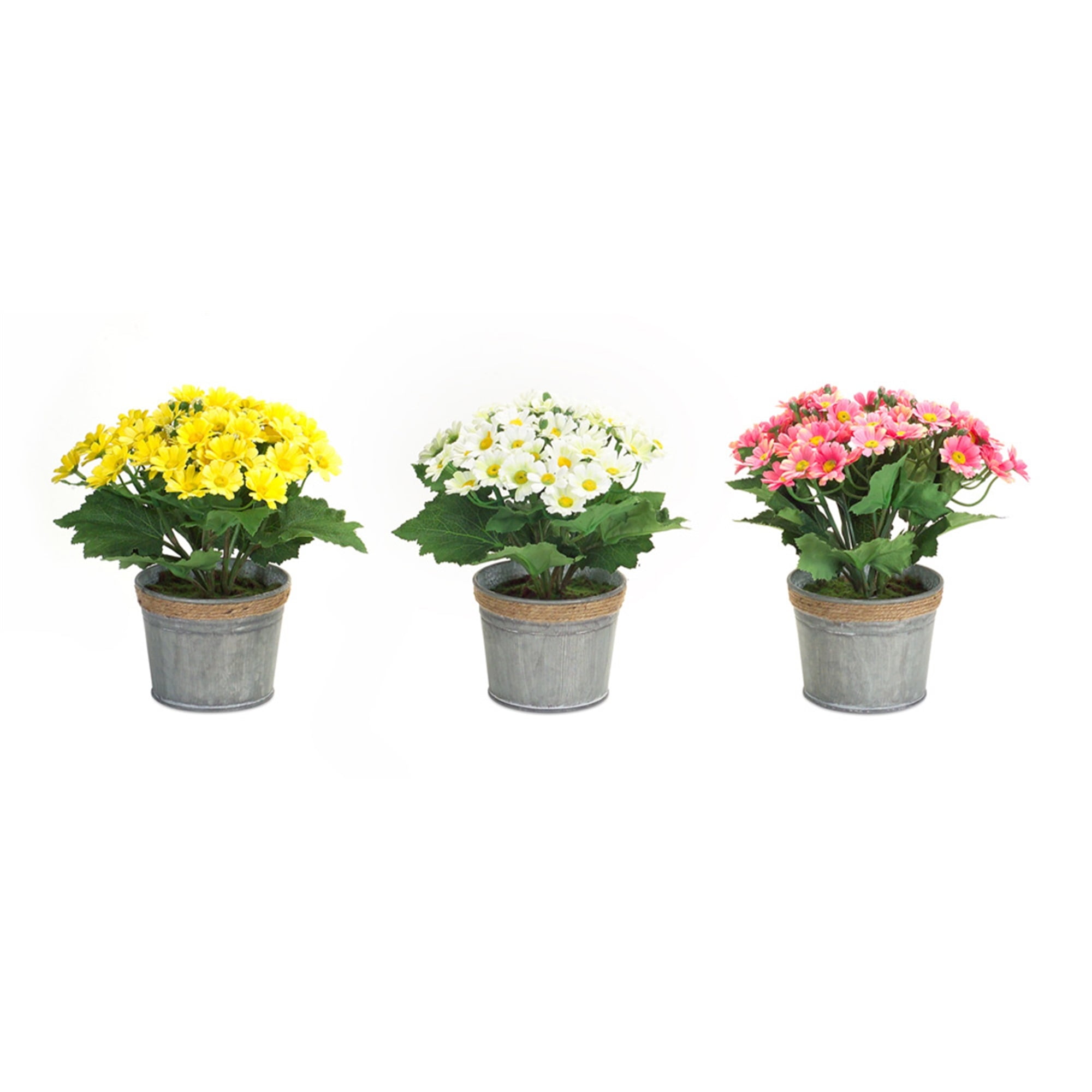 Potted Daisies (Set of 3) 9.5"H Polyester/Tin(sold out)