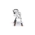 thumbnail image 4 of Papo - Pintado a Mano - Figura - Caballos, Potros y Ponis - Figura Potro Appaloosa Negro-51540 - Coleccionable - para Niños - Apto para Niños y Niñas - A Partir de 3 Años Multicolor Talla única, 4 of 5