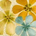thumbnail image 2 of Saunders, Alonzo 26x26 White Modern Wood Framed Museum Art Print Titled - Springtime Glow II, 2 of 4