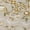 Beige, variant on Addison Rugs Chantille Indoor/Outdoor Transitional Damask Beige Machine Washable Rectangle Rug, 10' x 14'