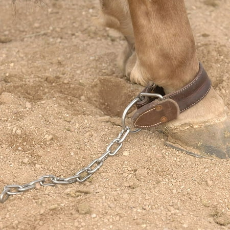 UPC: 0782146319924 | Schutz Brothers Kicking and Pawing Chain