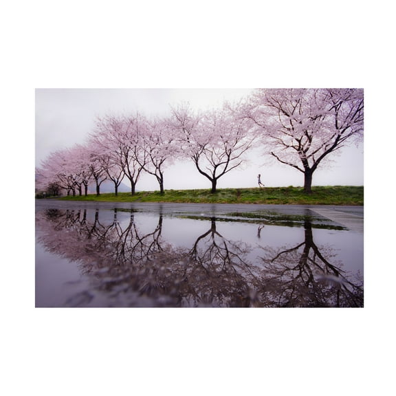 Kouji Tomihisa 'Rain Of Spring' Canvas Art