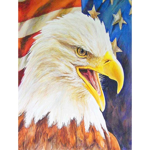 Pintura de diamante (DE4857) Águila 5D Bordado cuadrado DIY Arte de la pared Decoración 20X30cm Hugtrwg Para estrenar