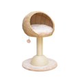 thumbnail image 1 of Catry Lookout Small Cat Tower with Scratcher & Cat Toy, 1 of 9