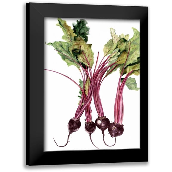 Willett, Michael 11x14 Black Modern Framed Museum Art Print Titled - Watercolor Beets