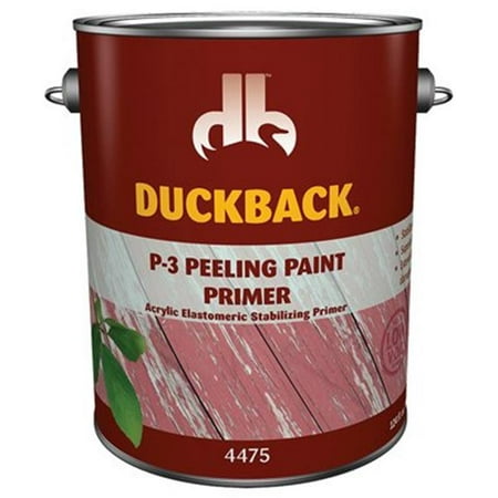 P-3 Peeling Paint Exterior Primer, 1 Gallon (Best Primer For Peeling Paint)