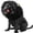 Black, variant on Funny Pet Dog Wig Transform Your Dog Into Adorable Character Headgear Instant Party Accessory