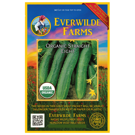 Organic Seeds Cucumber Everwilde Farms - 50 Organic Straight Eight Cucumber Seeds - Gold Vault Jumbo Bulk Seed Packet ()