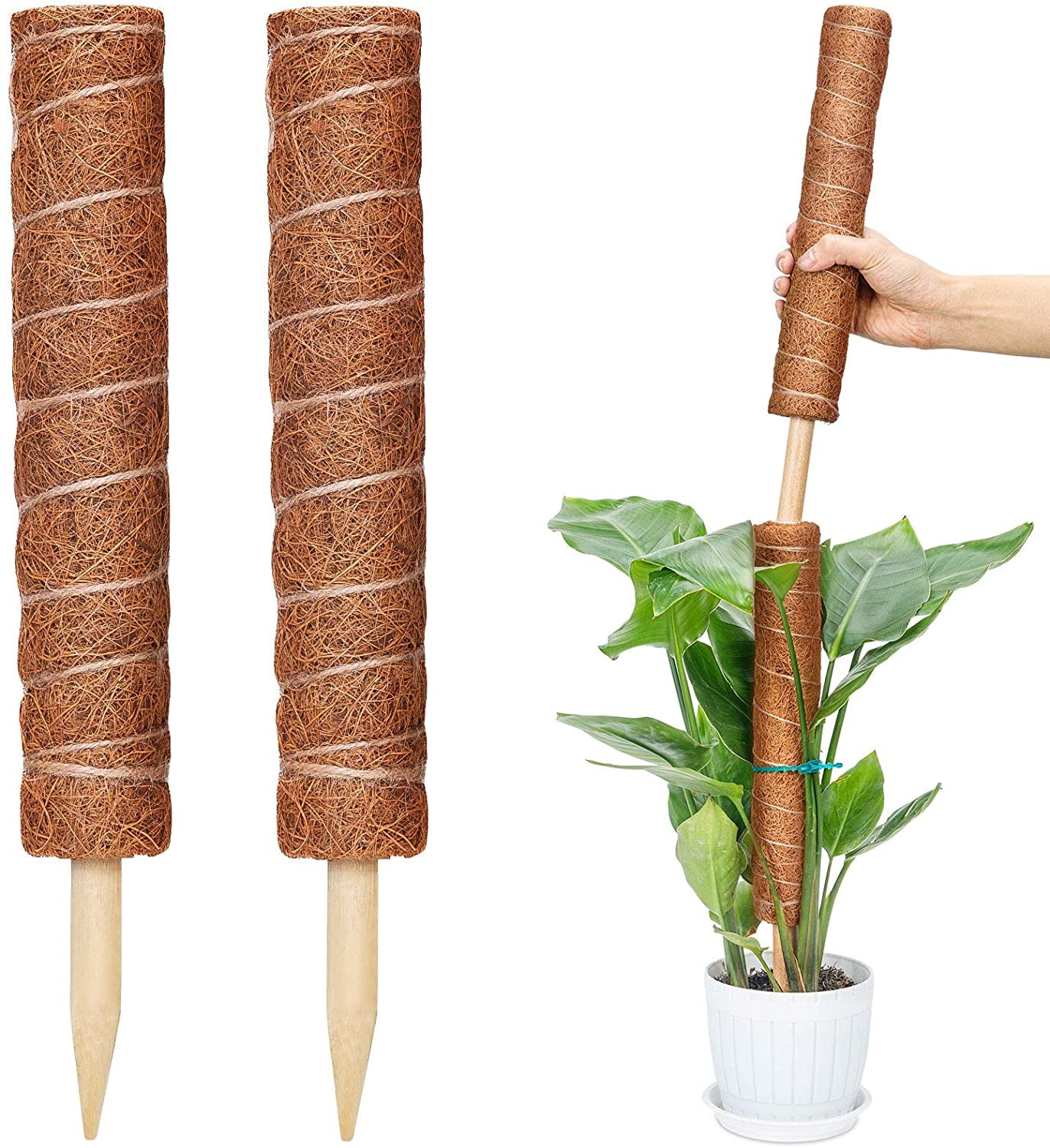 50CM/ 60CM/ 70CM/ 80CM Plant Support Totem Pole Plant Support Sticks for Creepers Plant Support Extension Climbing Indoor Plants Raspbery Coir Moss Pole 1PCS handy