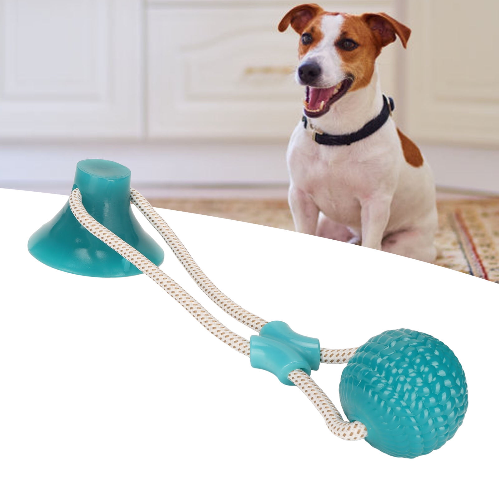 Puppy Pull Toy Suction Cup Dog Tug Toy Teeth Free Self Playing For Yard Green Ball Shape