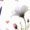 White-2, variant on Women Sunflower Heart Graphic Tees T Shirt Tops Round neck Printed Cotton T Shirt Black S-5XL