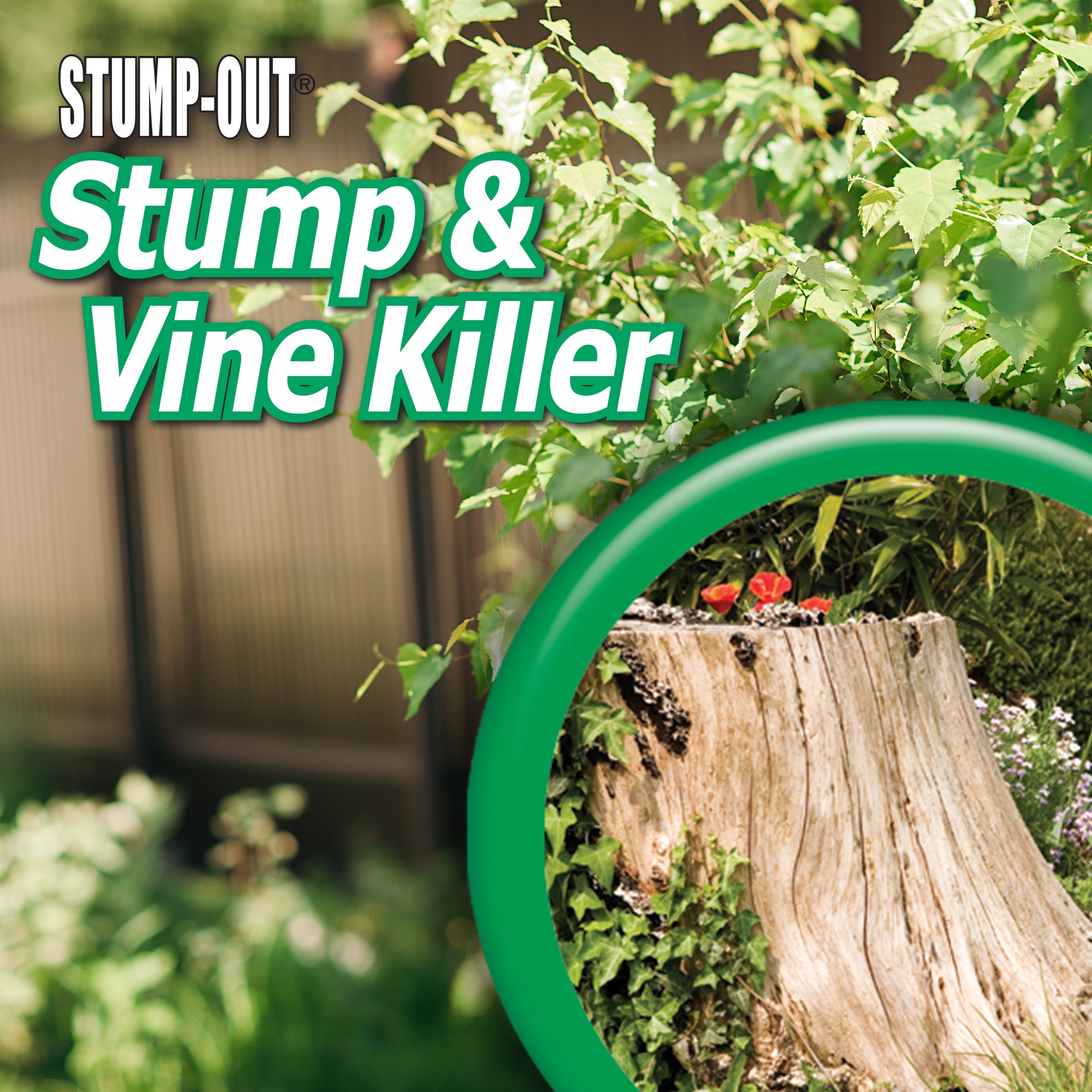 Bonide 2746 8 oz Bottle Of Concentrate Liquid Stump and Vine / Woody Plant Control - Quantity of 2