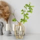 thumbnail image 2 of Jarrón de hierro con diseño de terrario, creativo, moderno y decorativo, para escritorio, de cristal. Oro, 2 of 9