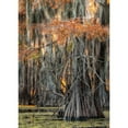 thumbnail image 3 of Head, Danny 11x14 Black Modern Framed Museum Art Print Titled - On the Bayou V, 3 of 5