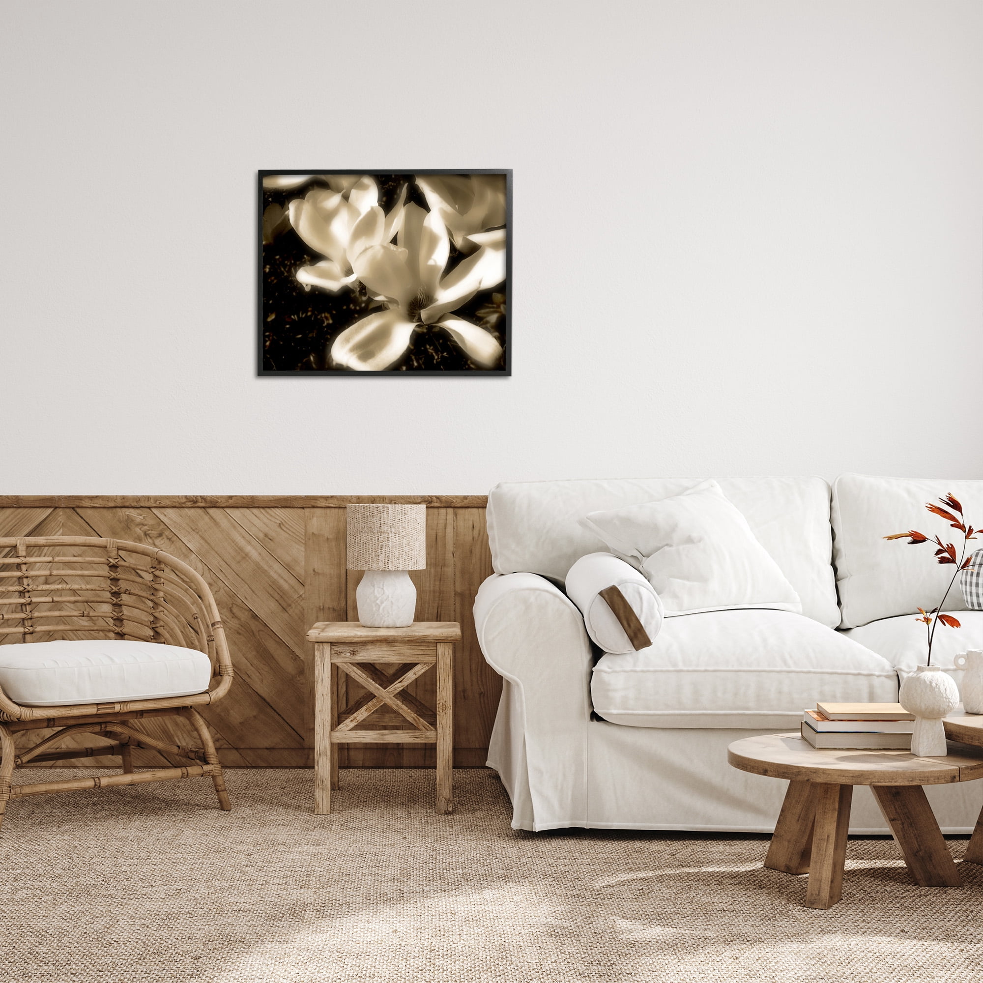 Stupell Industries Plant Petals in Nature Botanical & Floral Photography Black Framed Art Print Wall Art, 30 x 24