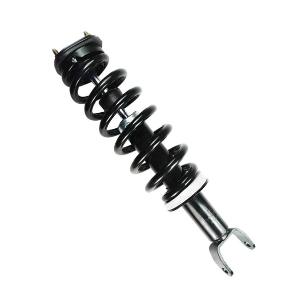 Suspension Strut and Coil Spring Assembly