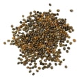 thumbnail image 5 of Purely Organic Products Purely Organic Heirloom Arugula Seeds (Slow Bolt) - Approx 500 Seeds, 5 of 6