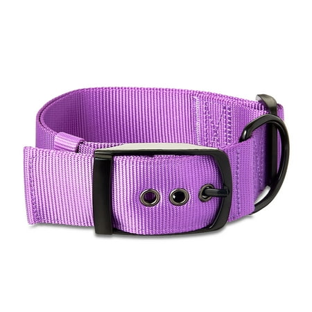 Vibrant Life Polyester Adjustable Dog Collar with Metal Buckle Purple XL