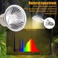 thumbnail image 5 of Quartz Glass Terrarium Lamp, Calcium Absorption & Stimulate Appetite, E27 Base, Recommended Usage: 2-4 Hours Per Day for Reptiles, Animals, Turtles (Pack of 4), 5 of 5