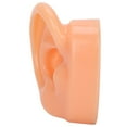 thumbnail image 2 of Silicone Ear Model, Right Soft Flexible Model Fake Ear Piercing Practice, Silicone Body Parts, Realistic Silicone Ear Mold for Jewelry Display Acupuncture Mannequin Teaching Instruction, 2 of 9