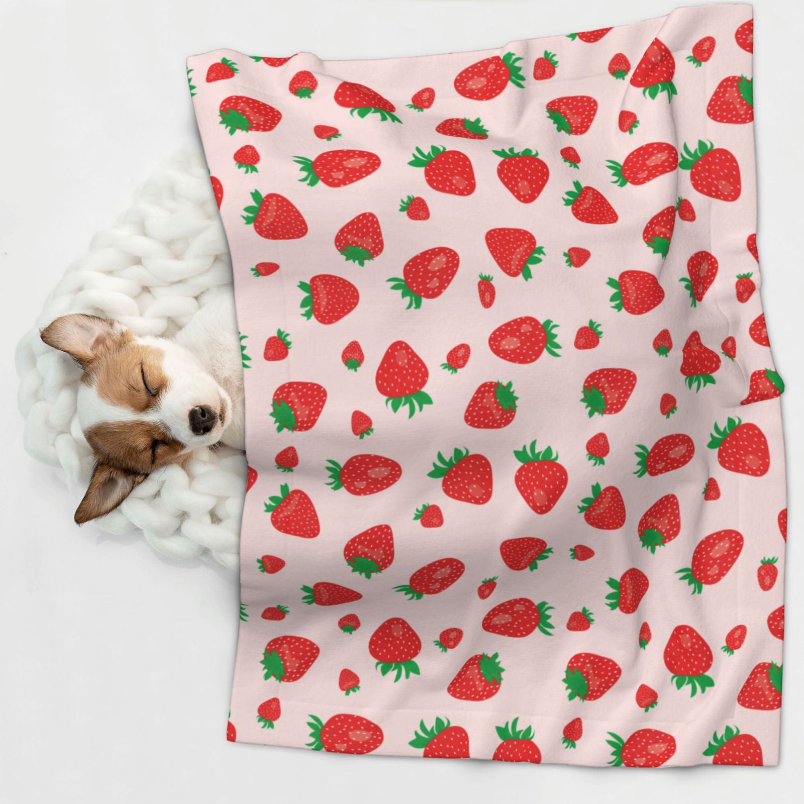 Naloa Strawberries Dog Blanket, 3 Sizes Cat Blanket for Indoor Cats Large Medium Small Dog Gifts-Medium