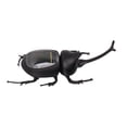 thumbnail image 4 of Juguete de insecto con energía solar, juguete de insecto con energía solar, modelo de escarabajo pelotero falso, robot de energía solar, insecto, funcionalidad de alta precisión, 4 of 9