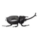 thumbnail image 4 of Modelo de insecto escarabajo pelotero, juguete de insecto con energía solar, juguete de insecto con energía solar, robot de energía solar, insecto diseñado con precisión, 4 of 8